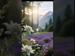 মেসোথেরাপি