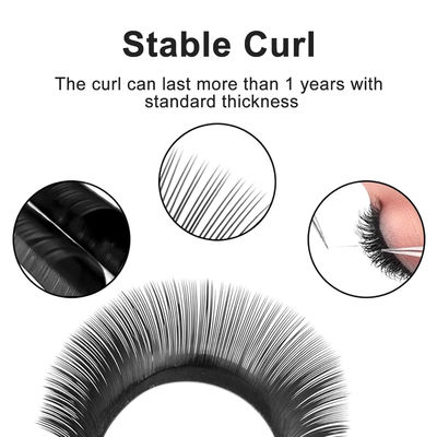 YY ল্যাশ এক্সটেনশন CC/D/DD Curl 0.10 মিমি বেধ ভলিউম এক্সটেনশন 8-14 মিমি দীর্ঘ স্থায়ী ম্যাট কালো মিথ্যা ল্যাশ